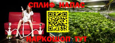 гашик Бугуруслан