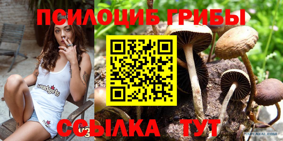 Галлюциногенные грибы мицелий Шумерля