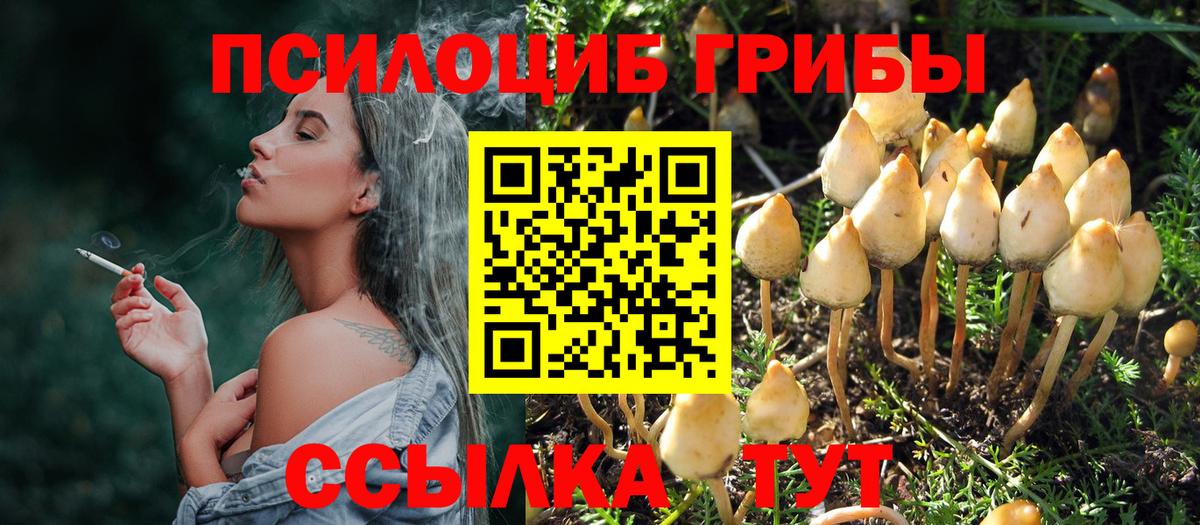 Шумерля  Галлюциногенные грибы MAGIC MUSHROOMS  купить  сайты  Вход с VPN  Галлюциногенные грибы GOLDEN TEACHER 